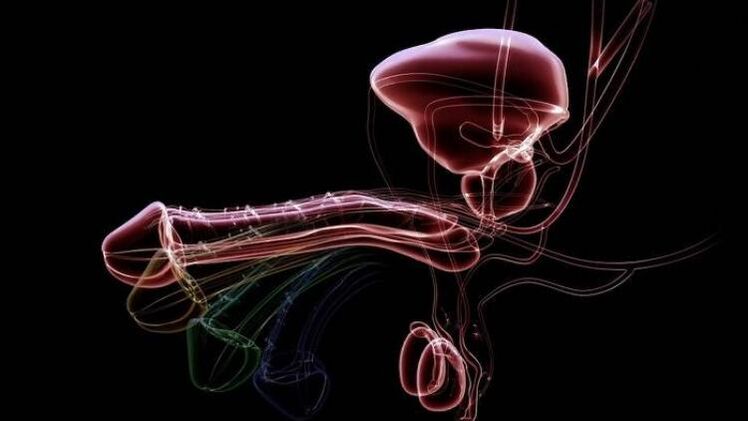 ¿Por qué aparece secreción cuando los hombres están excitados y es normal